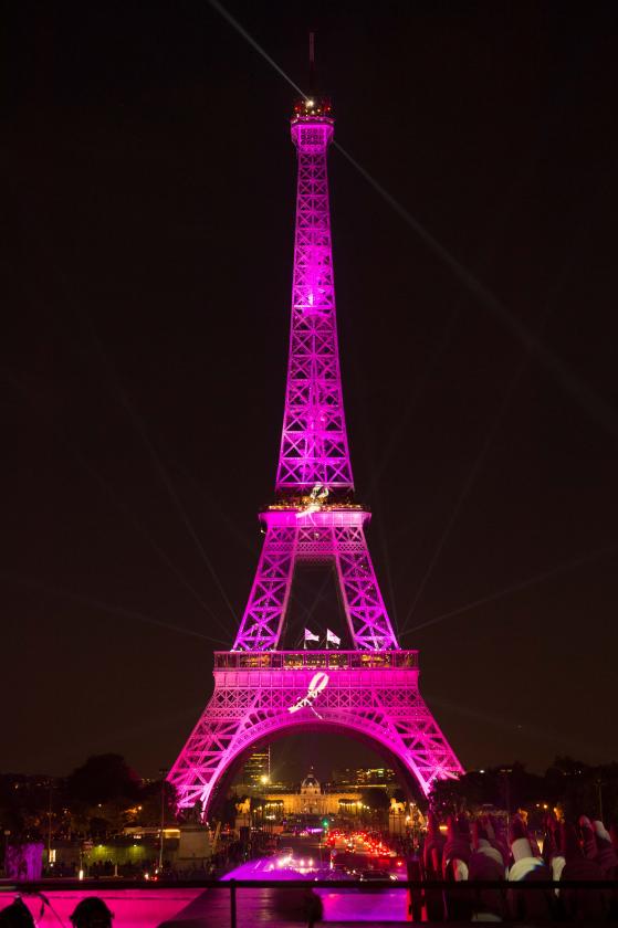 Eiffel Tower Illumination.jpg